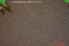 Contaminated Yarn