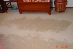 Pooling or Water Marking