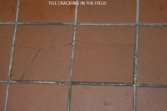 Tile Cracking