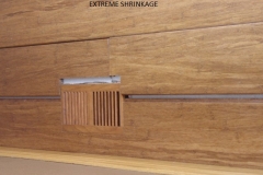 Extreme Shrinkage