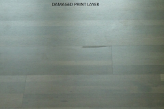 Damaged Print Layer