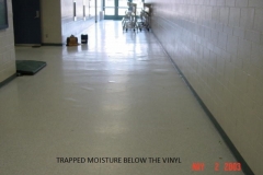 Trapped Moisture Underneath Vinyl